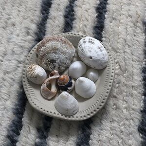 From the shore of spain Decorative Seashell Collection (plate not included)